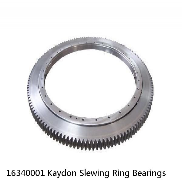 16340001 Kaydon Slewing Ring Bearings #1 small image