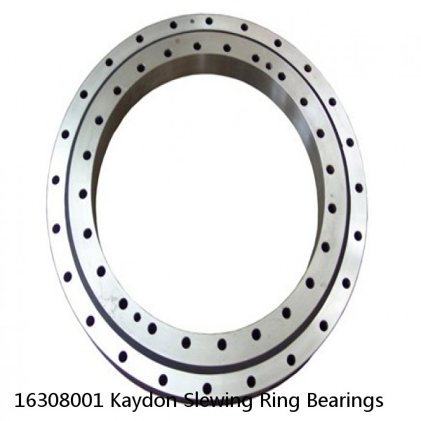 16308001 Kaydon Slewing Ring Bearings