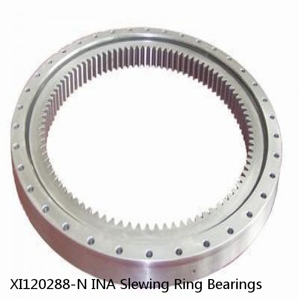 XI120288-N INA Slewing Ring Bearings #1 small image