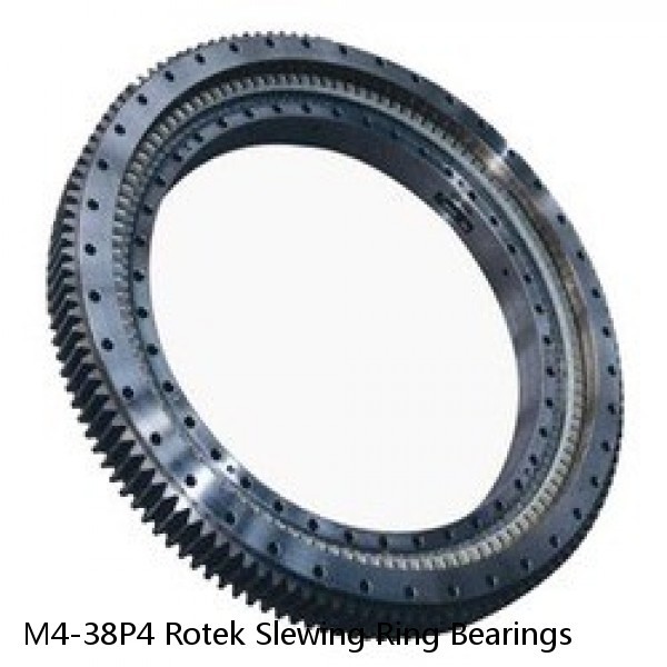 M4-38P4 Rotek Slewing Ring Bearings