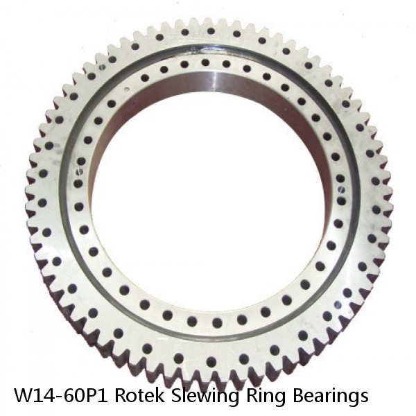 W14-60P1 Rotek Slewing Ring Bearings #1 small image