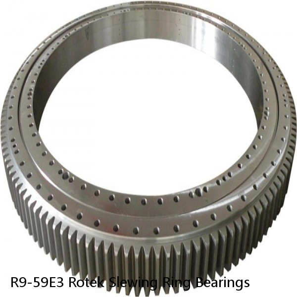 R9-59E3 Rotek Slewing Ring Bearings