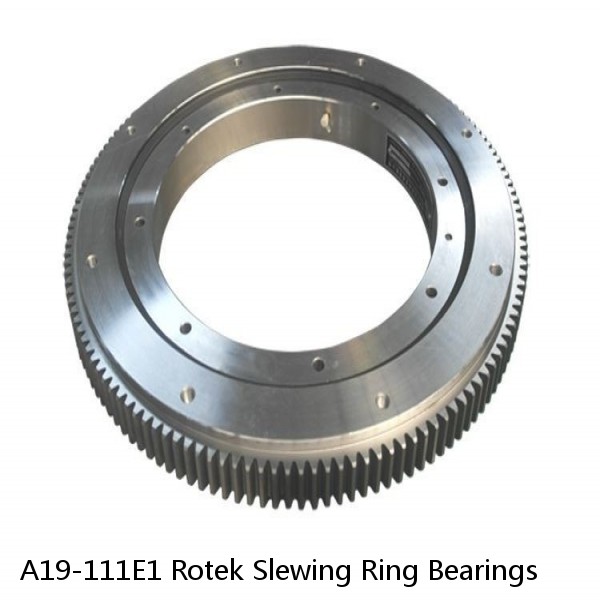A19-111E1 Rotek Slewing Ring Bearings #1 small image