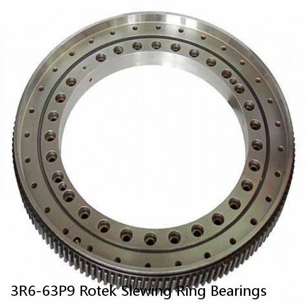 3R6-63P9 Rotek Slewing Ring Bearings #1 small image