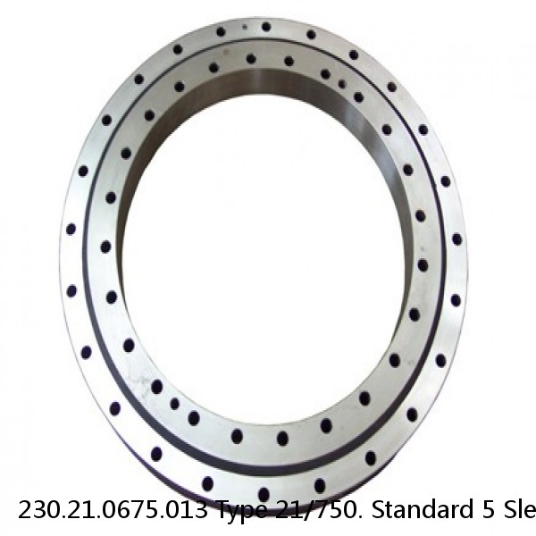230.21.0675.013 Type 21/750. Standard 5 Slewing Ring Bearings