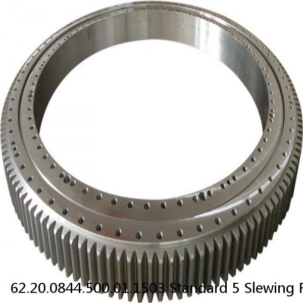 62.20.0844.500.01.1503 Standard 5 Slewing Ring Bearings #1 small image