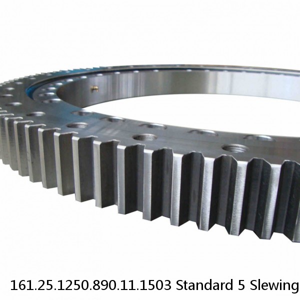 161.25.1250.890.11.1503 Standard 5 Slewing Ring Bearings #1 small image