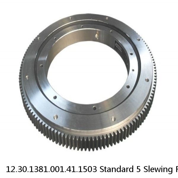 12.30.1381.001.41.1503 Standard 5 Slewing Ring Bearings #1 small image