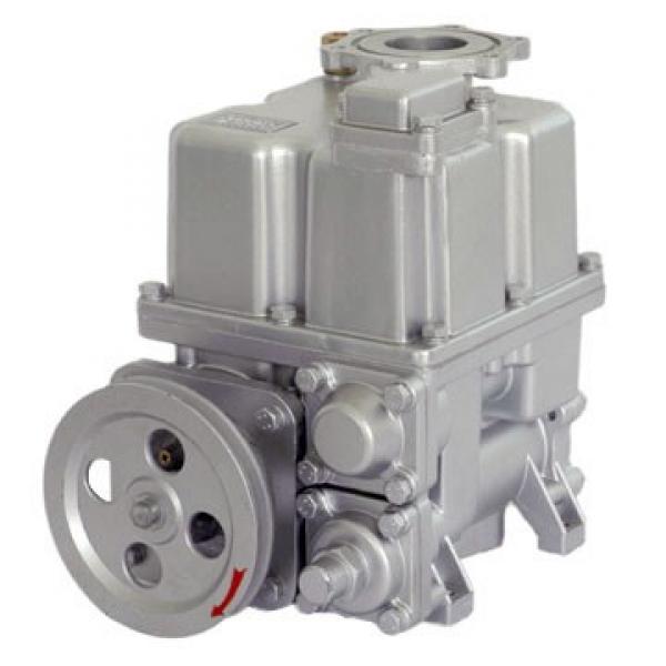 Vickers PV020L1K1JHNMR1+PV020L1L1T1NMR Piston Pump PV Series #2 image