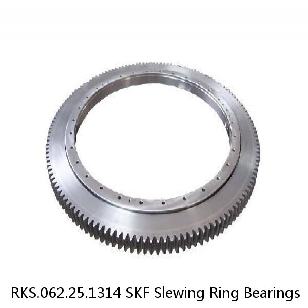 RKS.062.25.1314 SKF Slewing Ring Bearings #1 image