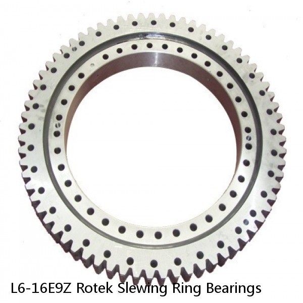 L6-16E9Z Rotek Slewing Ring Bearings #1 image