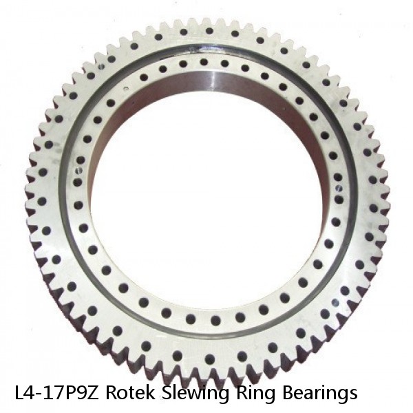 L4-17P9Z Rotek Slewing Ring Bearings #1 image