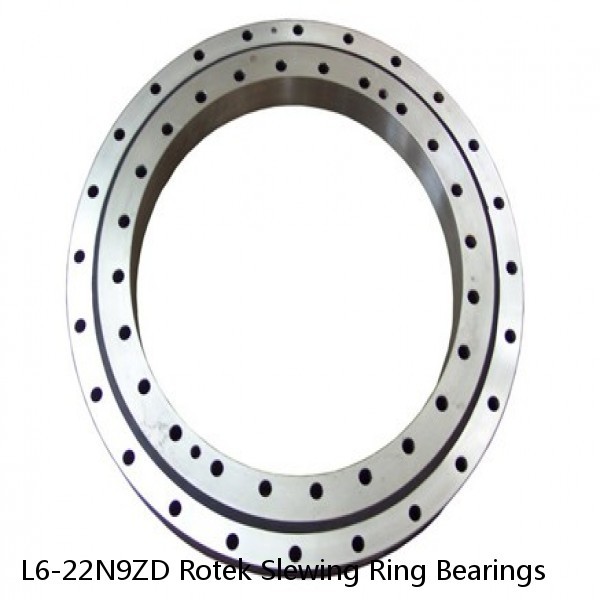 L6-22N9ZD Rotek Slewing Ring Bearings #1 image
