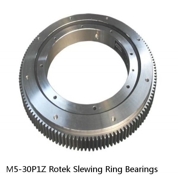 M5-30P1Z Rotek Slewing Ring Bearings #1 image