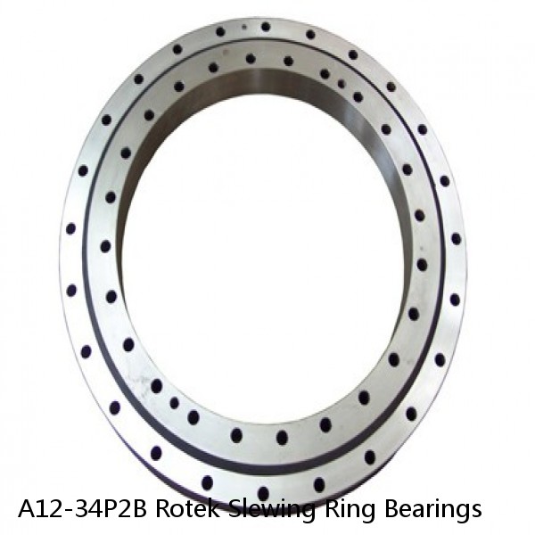 A12-34P2B Rotek Slewing Ring Bearings #1 image