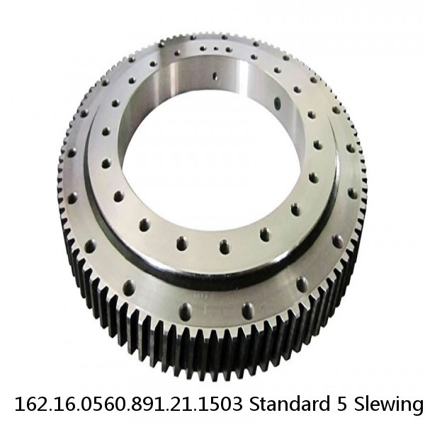 162.16.0560.891.21.1503 Standard 5 Slewing Ring Bearings #1 image