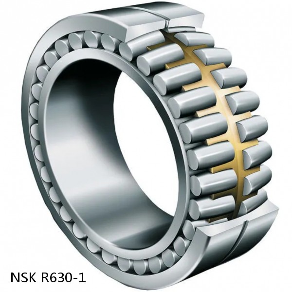 R630-1 NSK CYLINDRICAL ROLLER BEARING #1 image